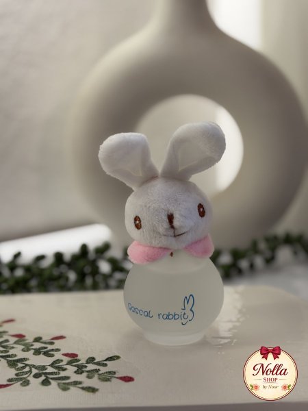 🐰